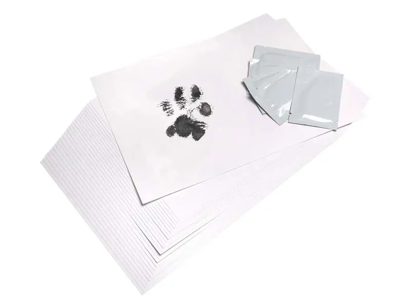 Inkless paw print (inc. frame)