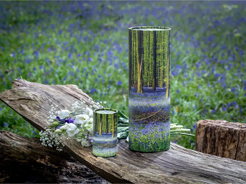 Scatter tube bluebell woods