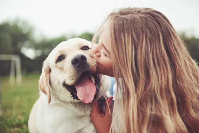 Dogs